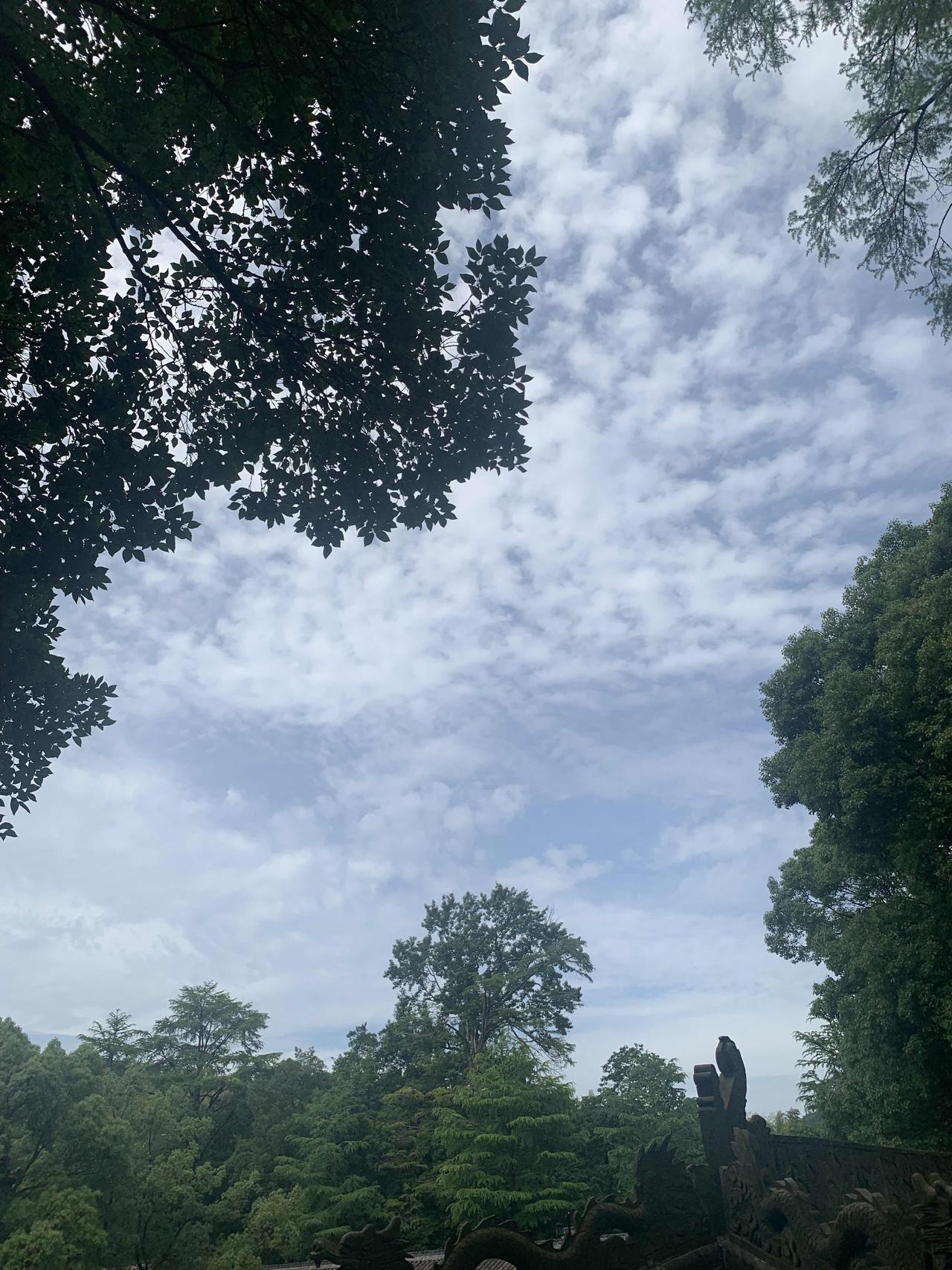 “四方食事，不过一碗人间烟火。”这句真的太绝了！短短几个字，就把生活里最质朴又最