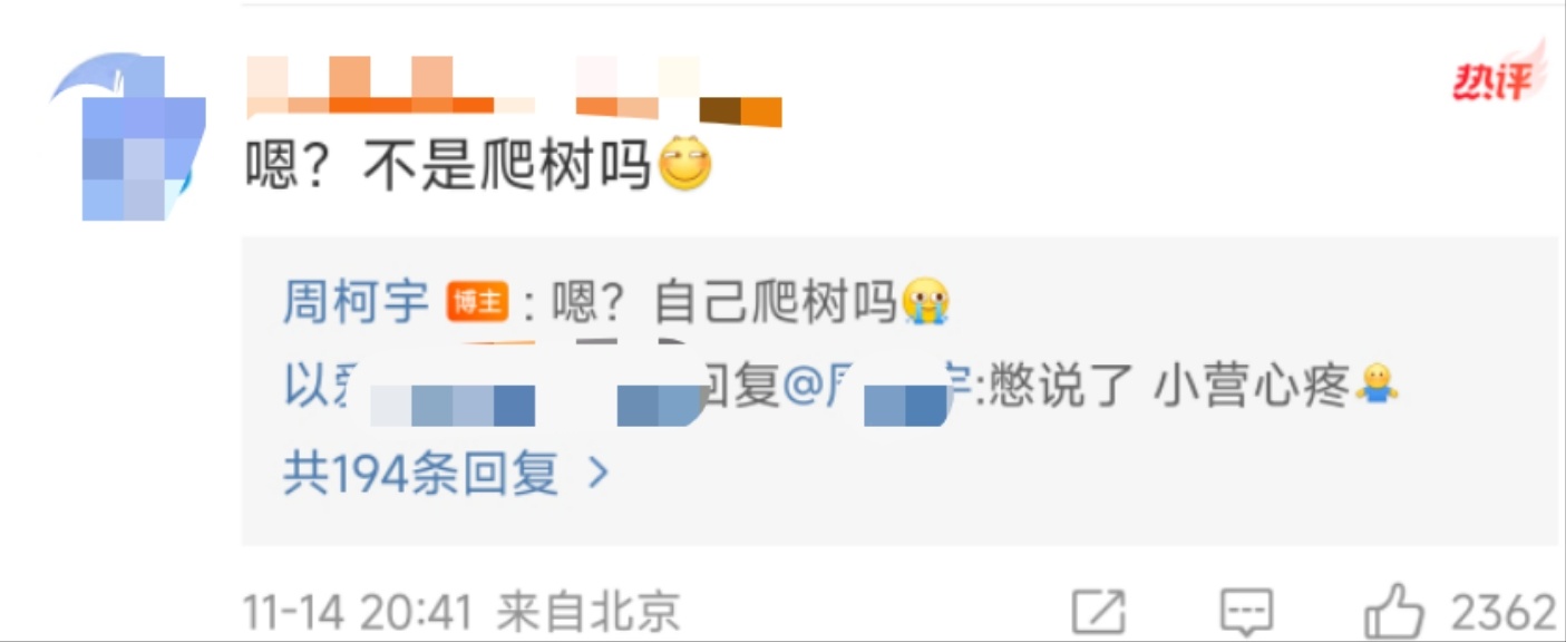 《以爱为营》周柯宇：我在树上打王者哈哈哈哈哈哈哈哈哈哈哈哈哈哈哈哈哈哈哈 ​​​