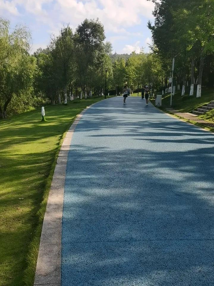 有山有水，湖光天色。有茂密的树林，满目苍翠。有平坦的健身步道，绿树成荫。真好！