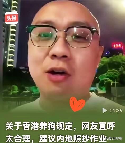 终于明白为啥全网都喊着要抄香港的养狗作业！把香港的宠物法规掰开揉碎了用大白话讲，