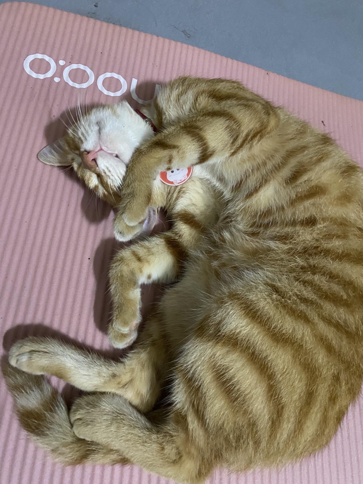 向左 侧身 半躺