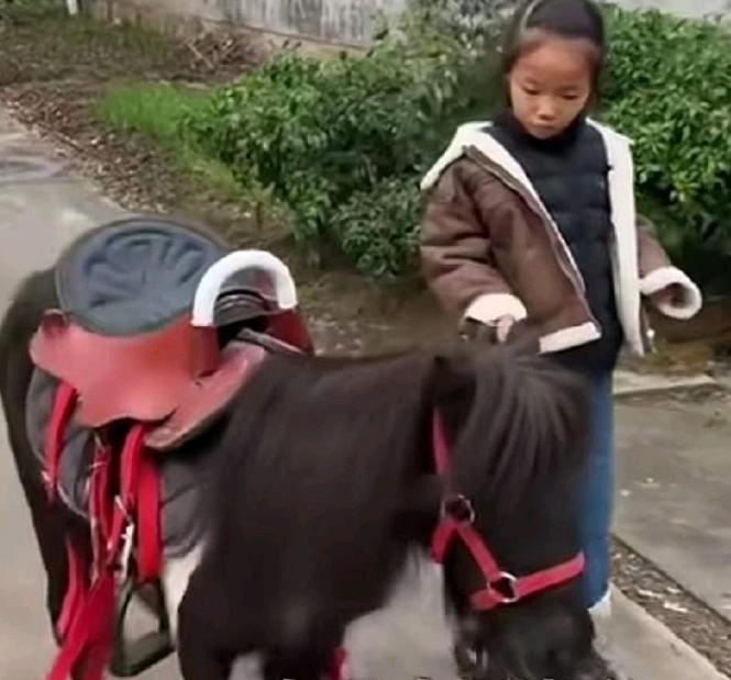 万万没想到！”山东，一位姥姥因为不会网购，就让女婿教她，没想到她学会了之后，竟瞒