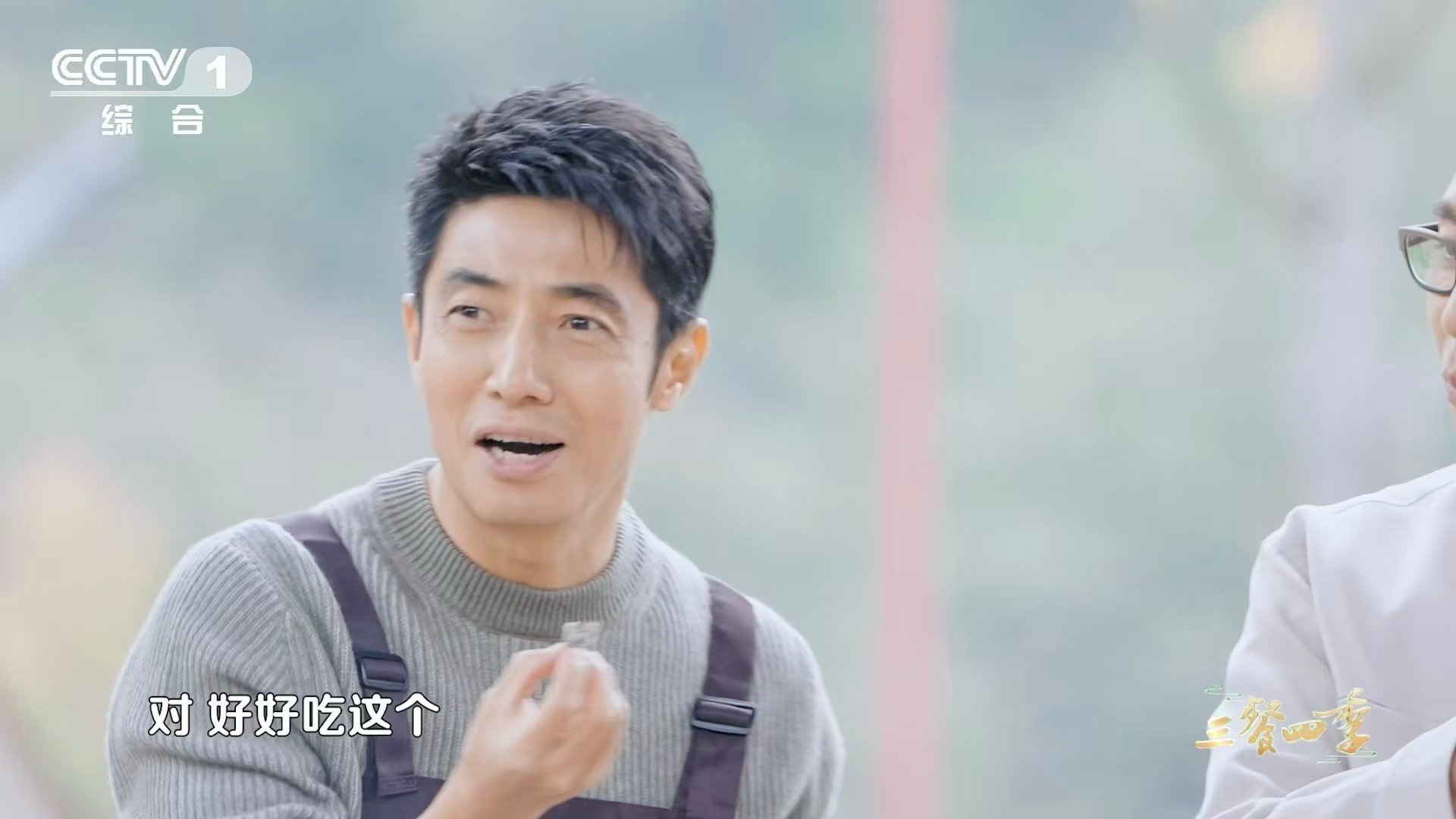 中国人的吃商绝了硬邦邦的岩豆被中国人变成美食  硬岩豆的华丽转身！国人用最朴素的