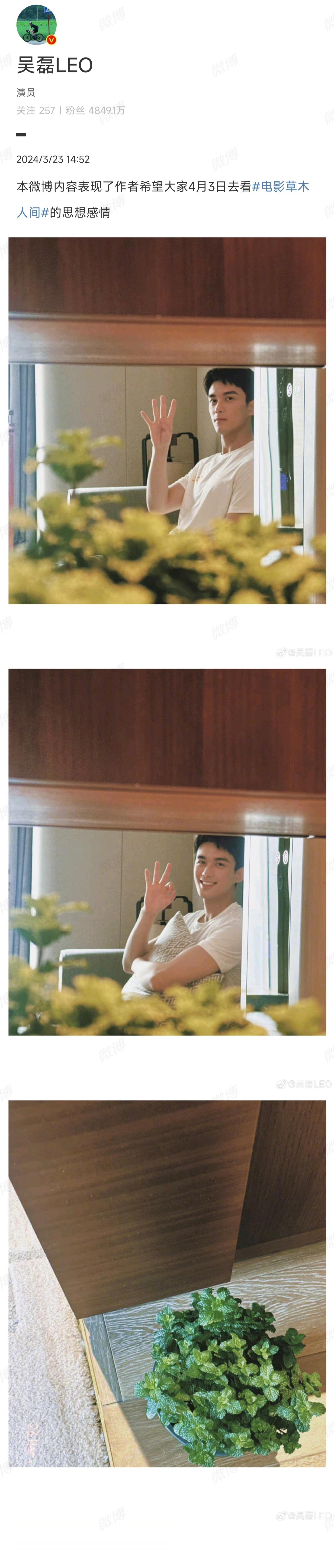 #吴磊语文阅读理解式宣传# ​吴磊的《草木人间》会带给我们怎样的故事呢？薄荷象征
