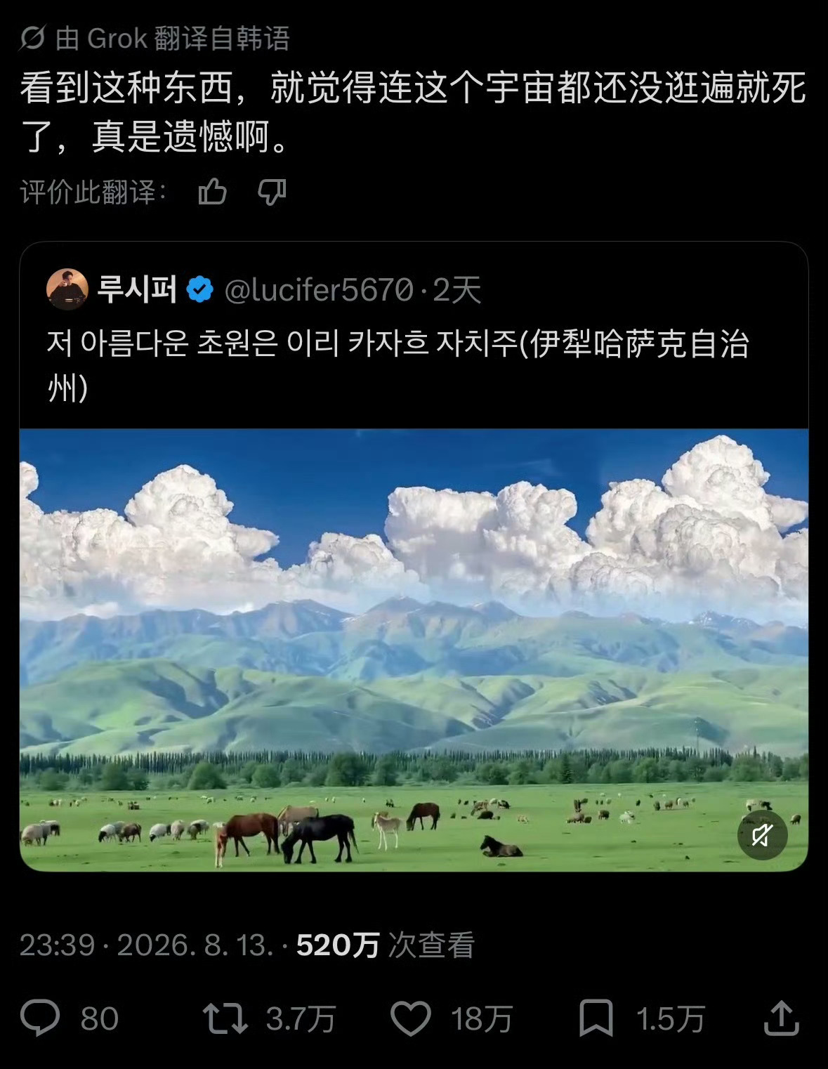 韩网友点评新疆伊犁草原韩国人说新疆是“治愈系天花板”！国土小、城市挤，到了新疆视