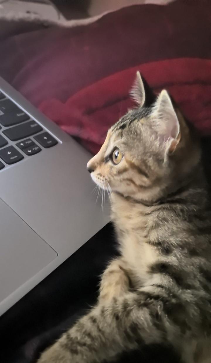 为什么厦门这么热🥵🥵🥵🥵它是不是和我一样andear丿 ​​​