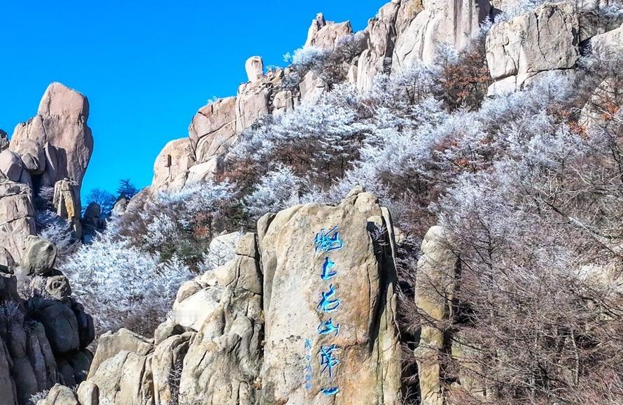 冬日生活打卡季2025年12月2日至2026年2月28日期间，凭七日内抵达青岛的