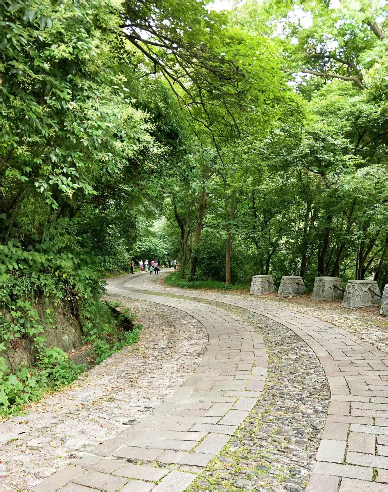 本世纪春分巧“遇龙抬头”，仅有三次。
今天早上，吃早饭的时候，广播里传出今天是春