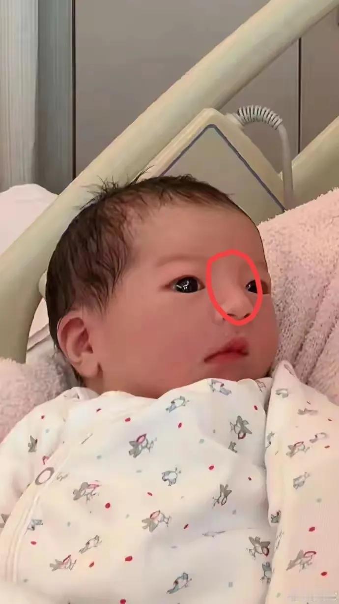 郭家三小姐的眼睛大也就算了，耳垂也这么大也就忍了，可她才这么小，鼻梁竟然又高又直