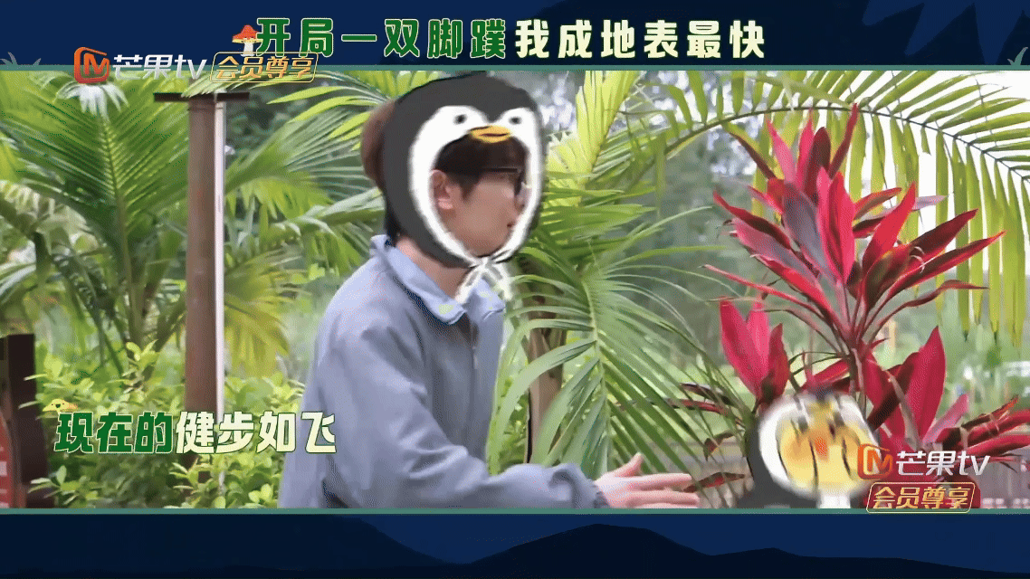 夏之光你身后空无一人夏之光穿蛙噗鞋跑超快，周震南骑娃娃车都追不上，满地小脚印太好