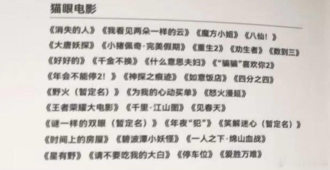 第二十九届全国电影推介会猫眼电影推介片单：《消失的人》《我看见两朵一样的云》《魔