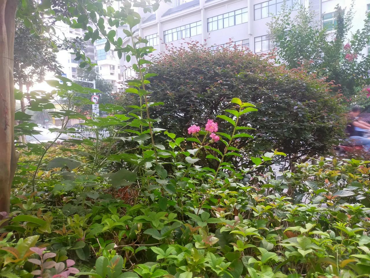 #娃的上学故事#
在我们家里，不管手机，母慈子孝，一管手机，鸡飞狗跳。

儿子上