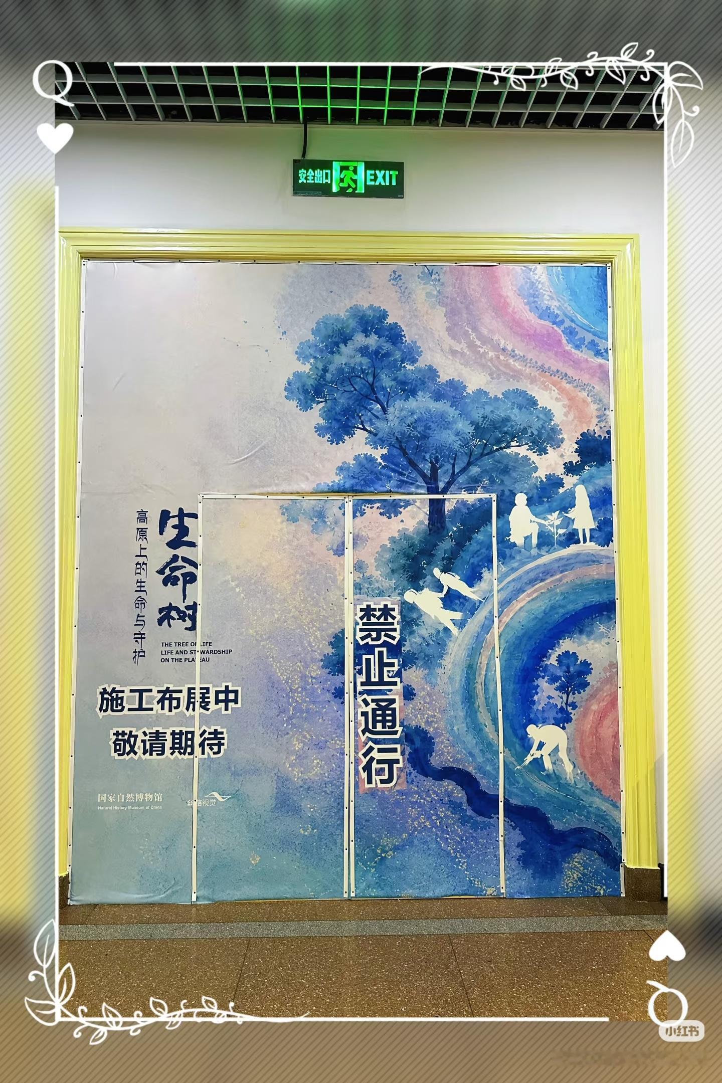 杨紫杨紫生命树 生命树太伟大啦！国家自然博物馆x《生命树》剧组跨界合作即将开启！
