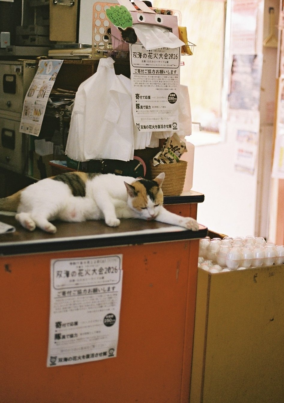 “招财猫” （图源：x.com ） 