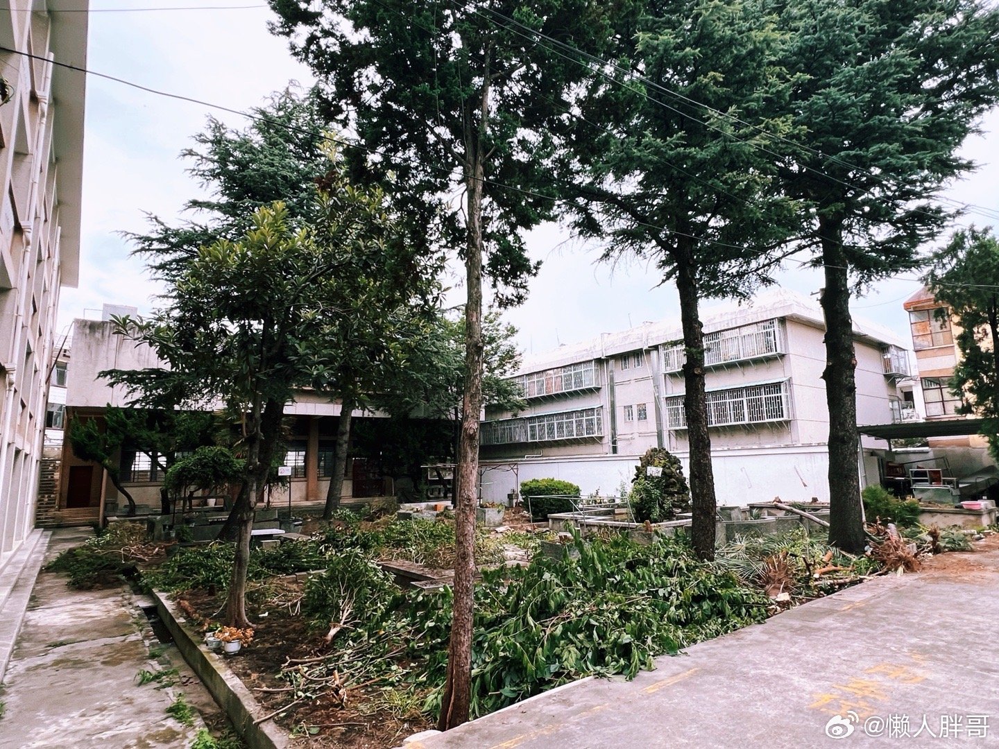 古城里又要打造一个新场地好像是个文旅项目容量不小 