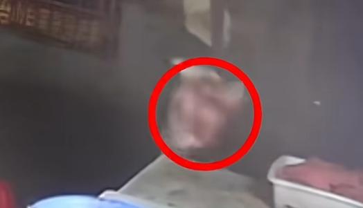 “大快人心！”近日，辽宁铁岭，一商户报警称自己案板的猪头丢了，民警一路查找后却将