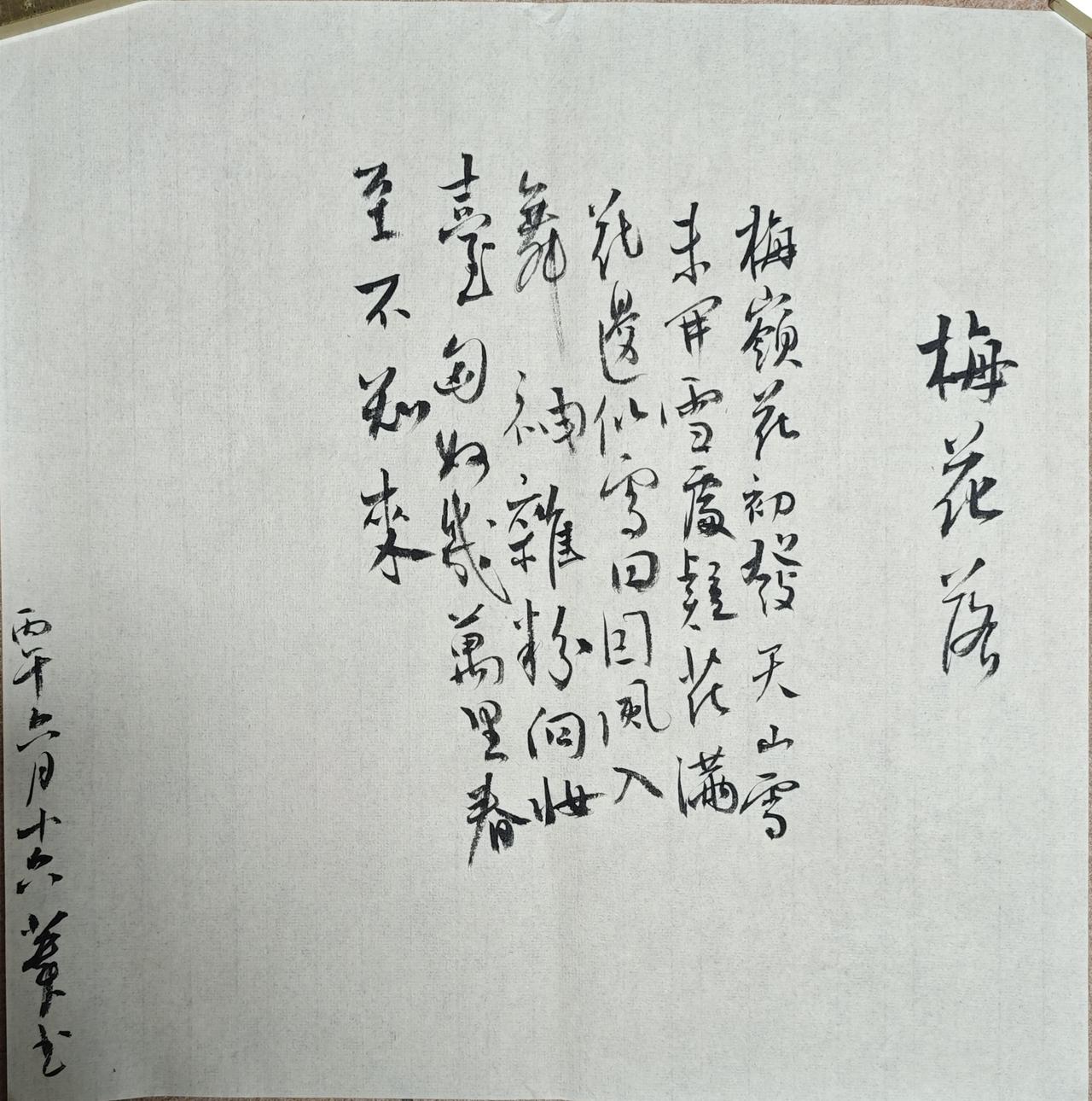 梅岭花初发，天山雪未开。
雪处疑花满，花边似雪回。
因风入舞袖，杂粉向妆台。
匈