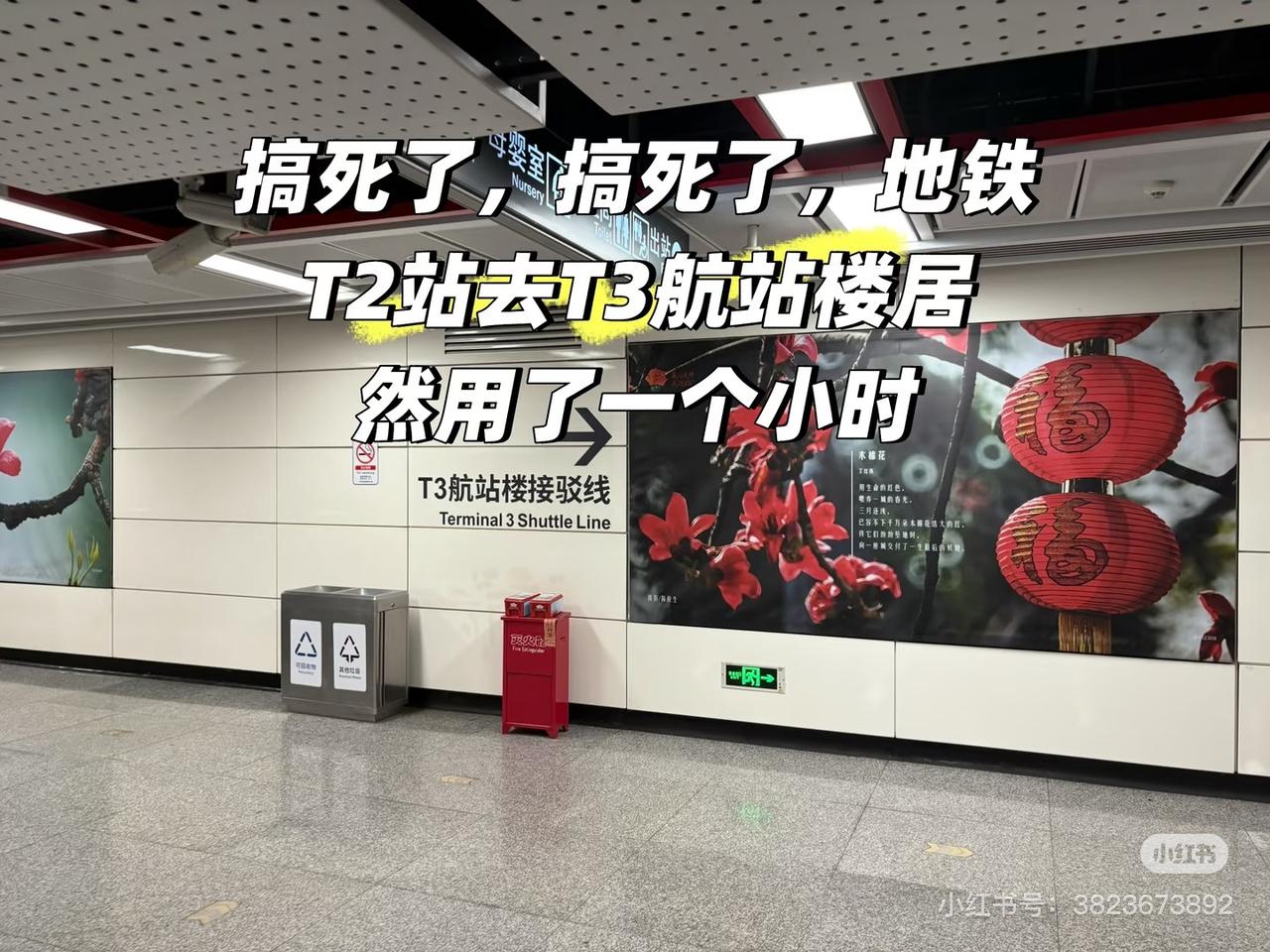 花了几百大元买的血的教训，如何去白云机场T3航站楼
一不小心买了个T3航站楼的机