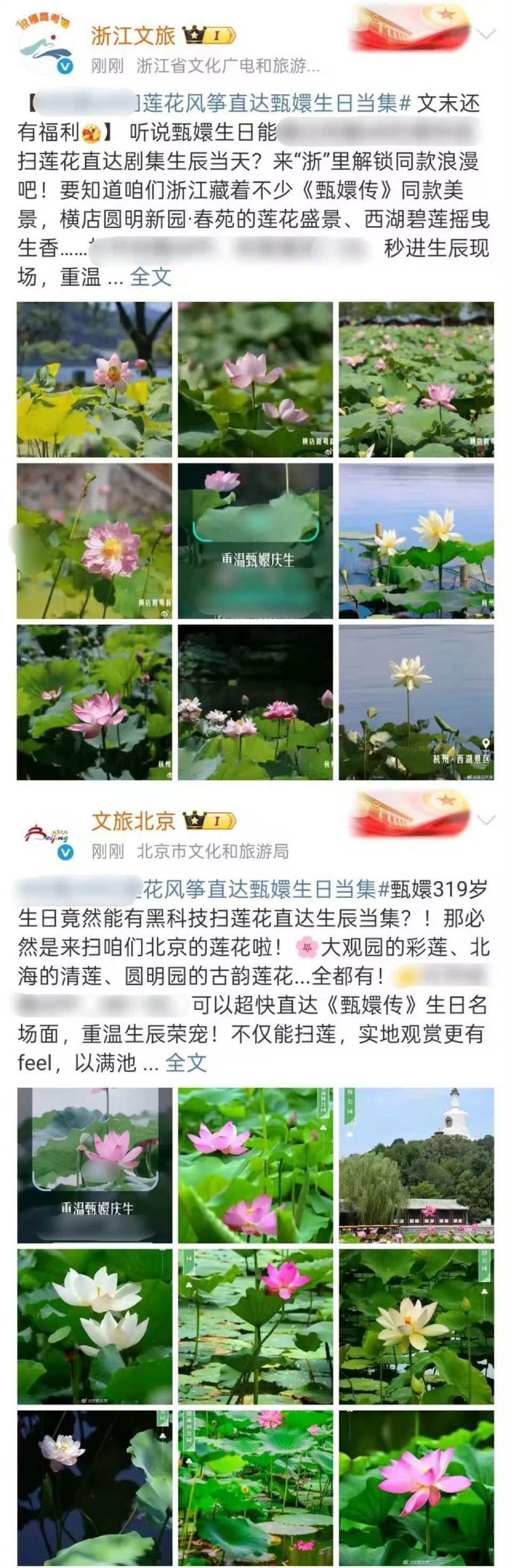 四郎说这届文旅比果郡王还会来事当甄嬛传照进现实！甄嬛生辰日，文旅界各显神通，荷花