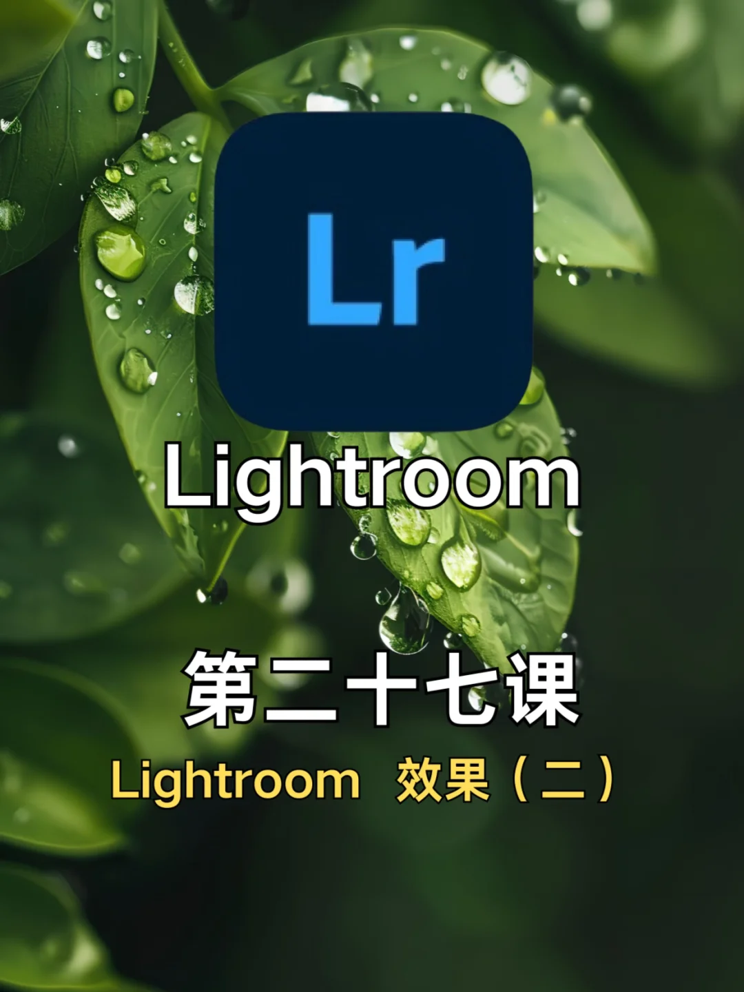手机修图调色｜Lightroom 第二十七 效果（二）