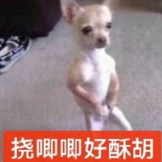 曝时代峰峻工作人员卖流浪狗谁有多余的钱 免费收越多越好 谁有多余的钱 免费收越多