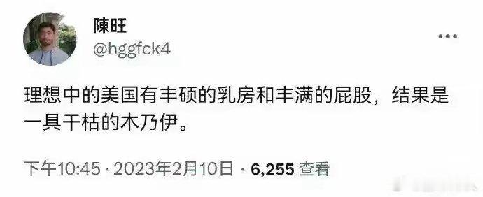 两个对美国充满幻想的著名润人，没想到到美国没有大house等着他们，而是美国斩杀