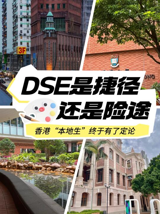 DSE是捷径还是险途