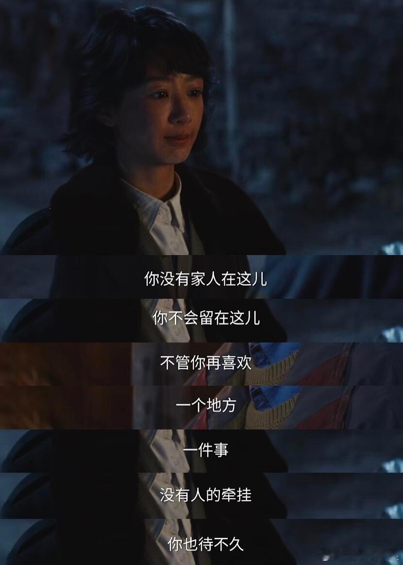 这段话为漂泊的人解惑了终极清醒白菊女士生命树