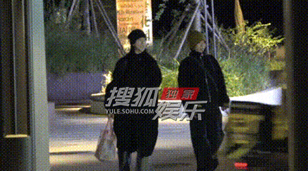 窦靖童和宋妍霏一起牵狗在路上散步，最后两人一起回到宋的家 ​​​