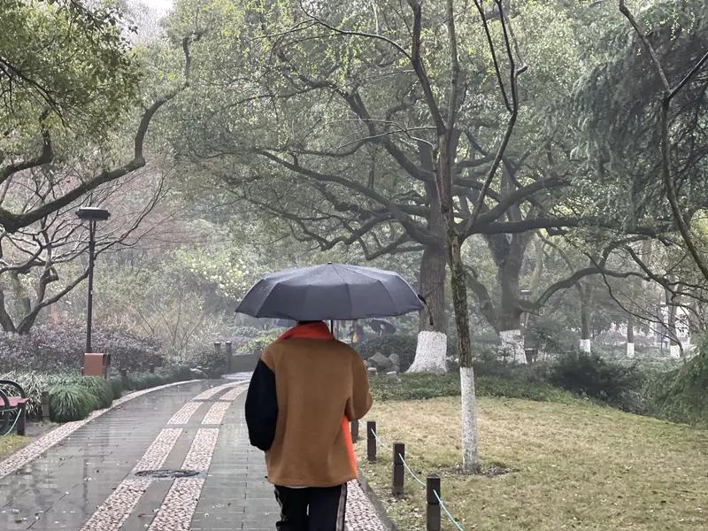 杭州男子开1人公司靠AI月入200万：“完全不需要员工，大脑指挥AI干活”
这一