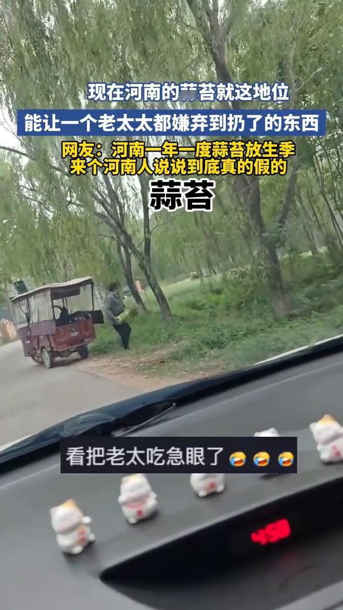 现在河南的蒜苔就这地位，能让一个老太太都嫌弃到扔了的东西。
网友：河南一年一度蒜