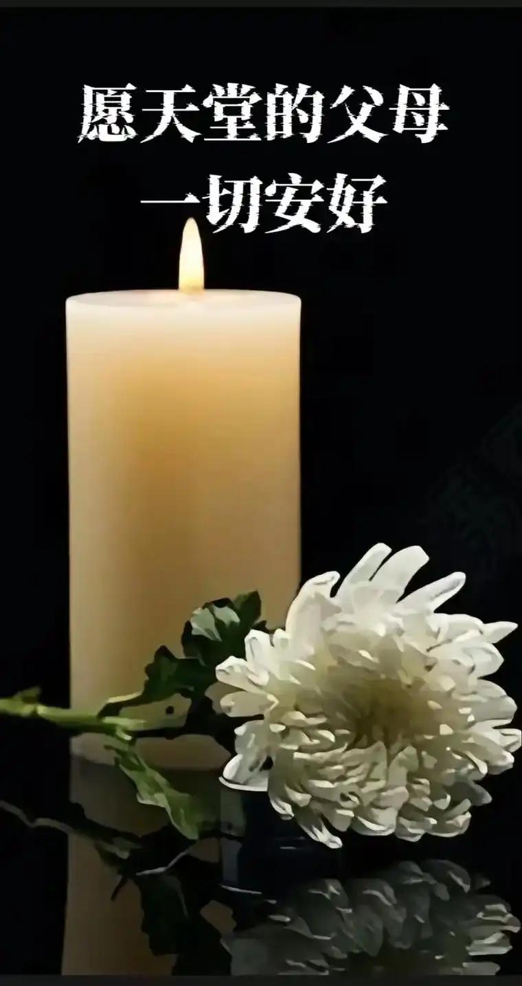 你们今天去看去世的亲人了吗？

我今天一早，吃过早饭，就买上鲜花花篮和好吃的去给