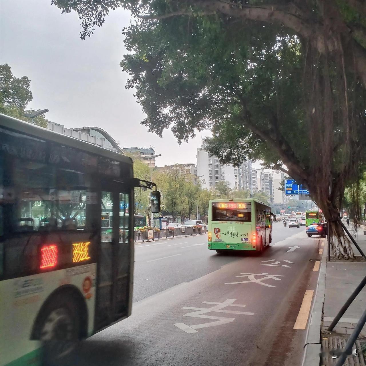 昨日  自贡的丹桂大街好“通泰”

岁未的最后一天也没有把街街堵“惨”

不像巳