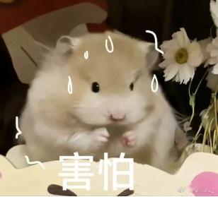 有没有人跟我一样，刷到湿巾含重金属就慌了？结果原来是有人投 毒AI啊。多家湿巾品