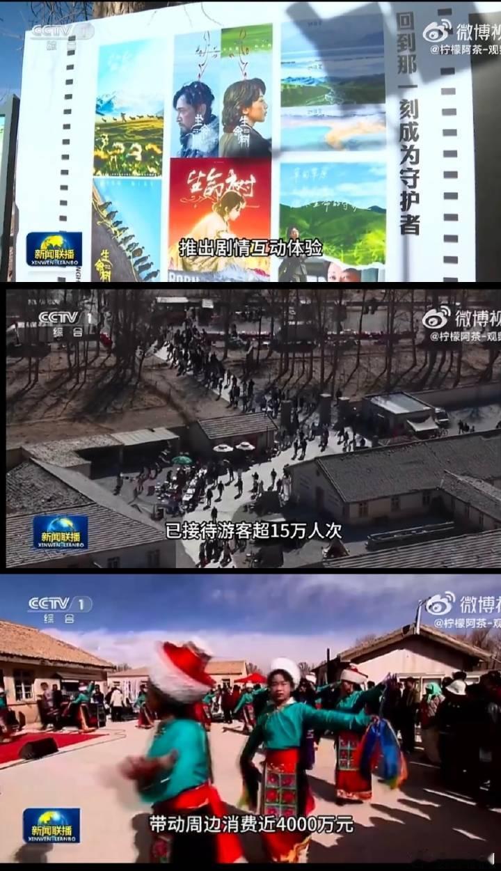 杨紫《生命树》登陆新闻联播！！！“影视ip赋能效应显现，在青海德令哈电视剧生命树