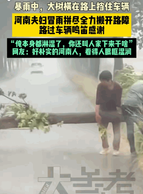 刻在骨子里的善良！驻马店，一棵大树被拦腰砸断在路中央，交通瞬间瘫痪！就在所有车都