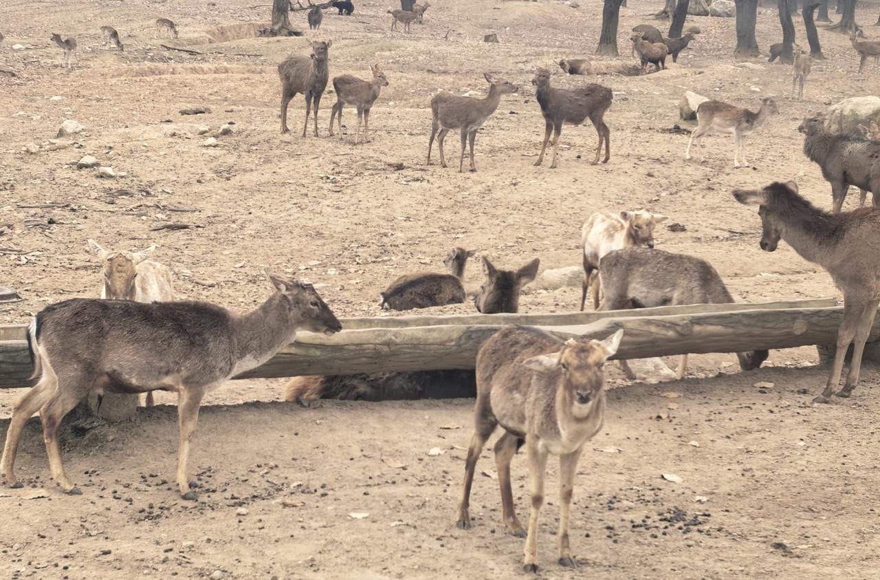 给2026的自己写句话新年快乐！