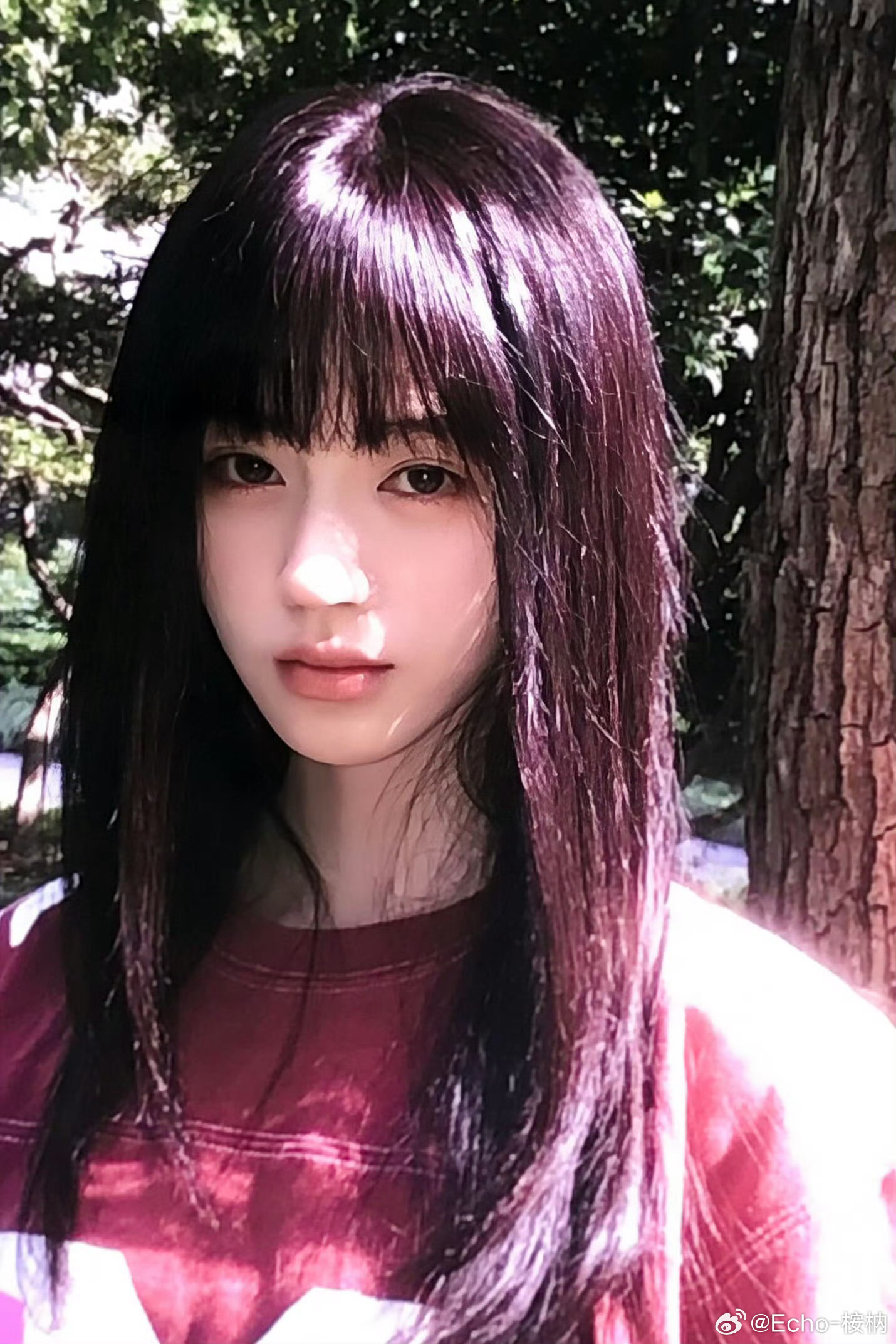 鞠婧祎[超话]鞠婧祎星光卡爆率   🍊鞠婧祎万花世界我不知道追星的意义 但我知