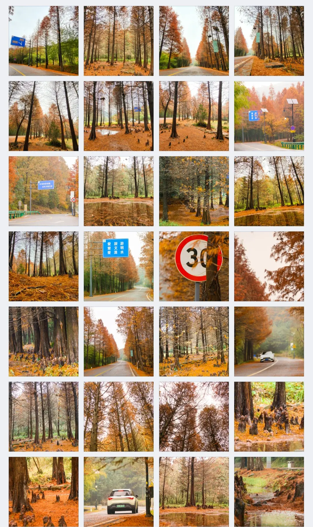 生命就应该浪费在这种地方。