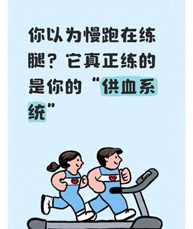 你以为慢跑在练腿？它真正练的是你的“供血系统”