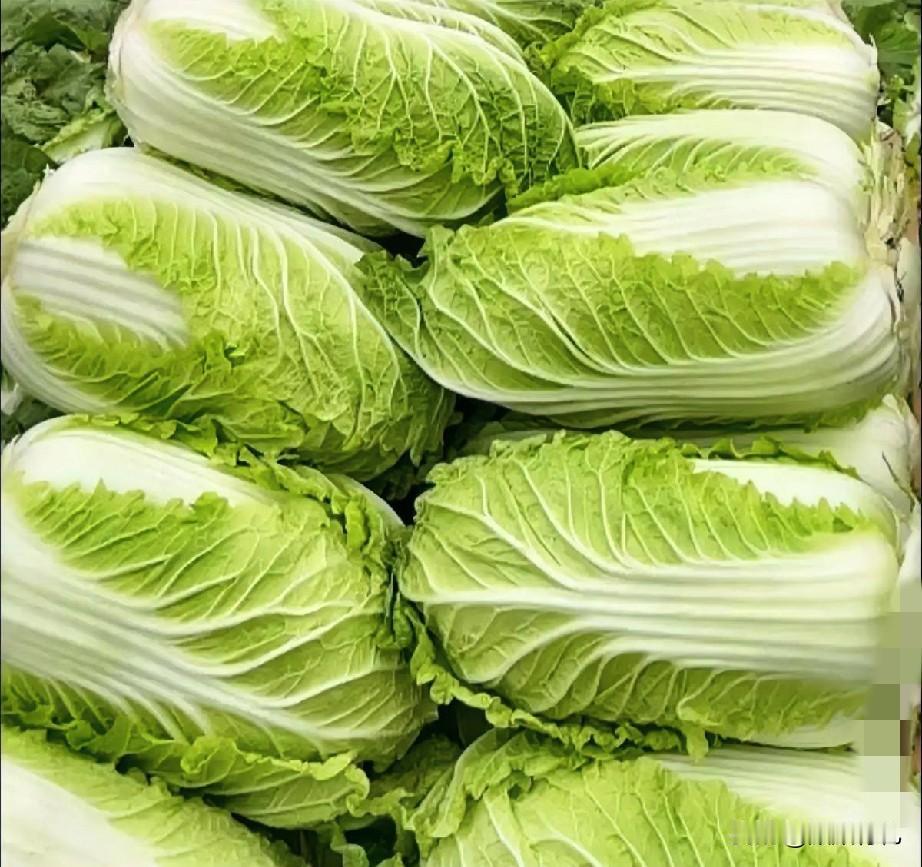 白菜又涨价了，

去菜市场发现今年的白菜比往年要贵，估计是今年的白菜产量少。
