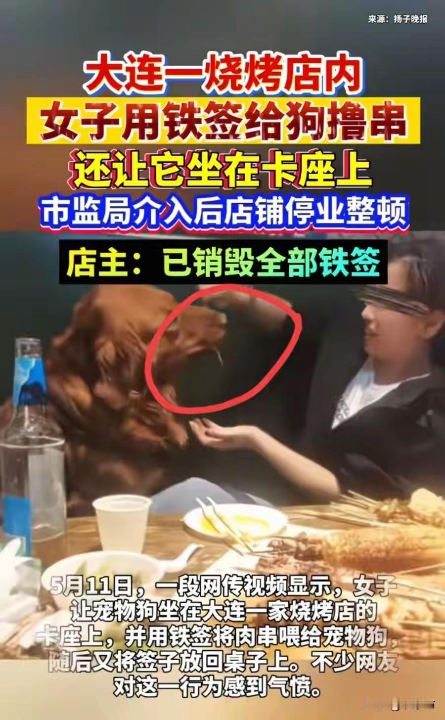 太缺德！大连女子用铁签喂狗：狗是真狗，但你却真不是个人！

这两天，全网都在被一