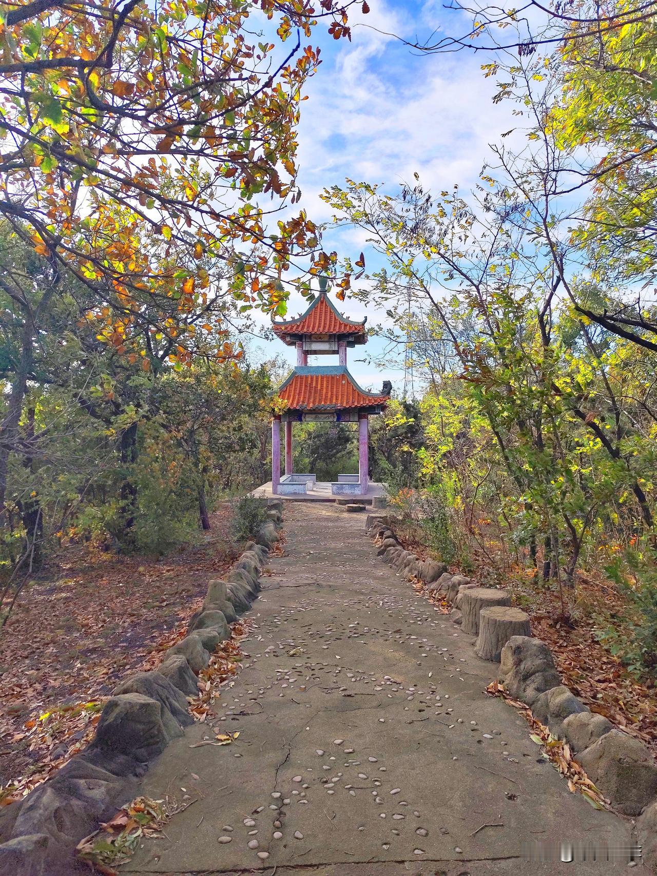 普兰店南山，顾名思义，就是中心城区南部的一座山体（海拔72米）。此山，在解放战争