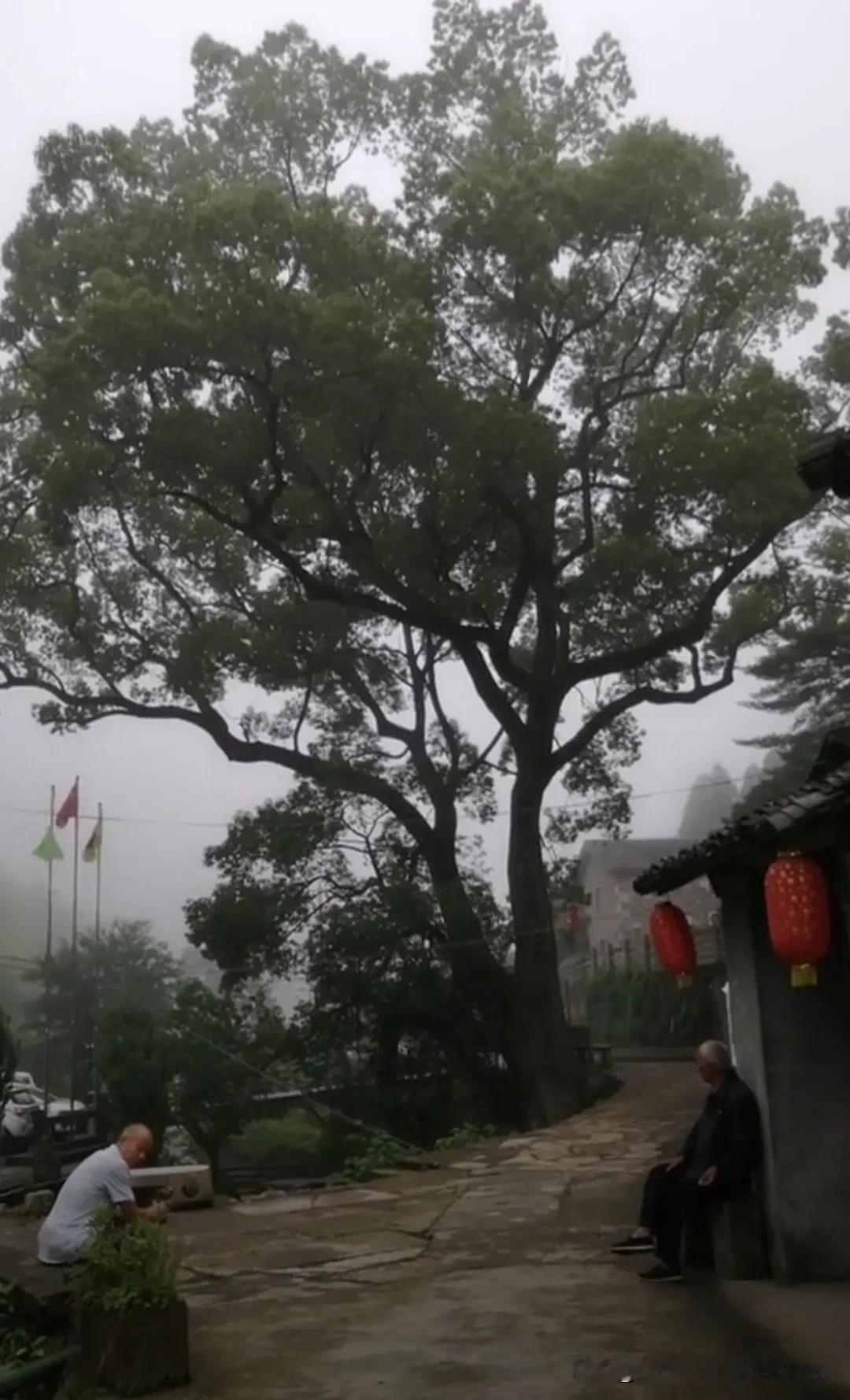 听村里的老人说，如果你想人丁兴旺，儿孙满堂，就不要让孩子多读书，他们说人一旦开了
