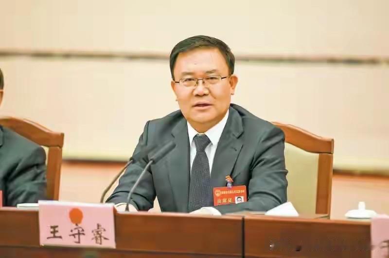 哪有什么“铁帽子”？深圳市委原常委王守睿主动交代问题，曾执掌前海对外开放平台。