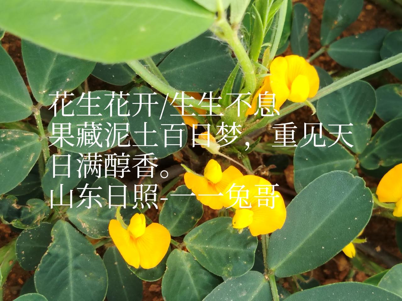 晒晒你的种植成果