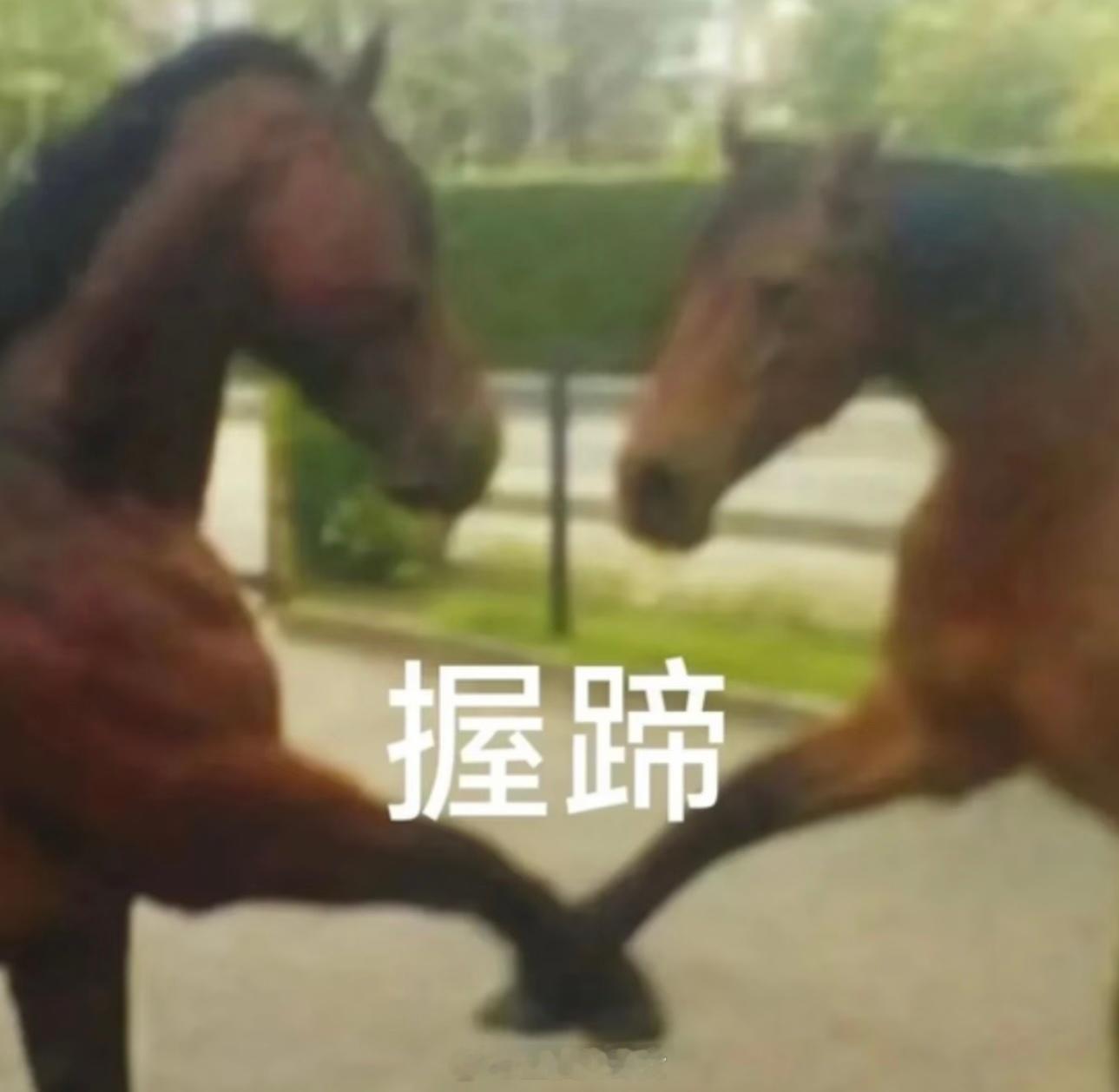 大家开始集五福了吗？我手上有敬业福和爱国福，想换周大福和金六福（杨国福勿扰） 