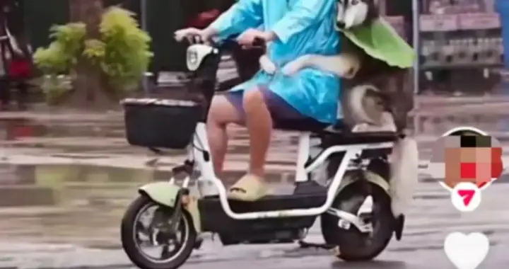 大廠再戰社交：抖快版“朋友圈”上線，抖音研發社交App“海海”