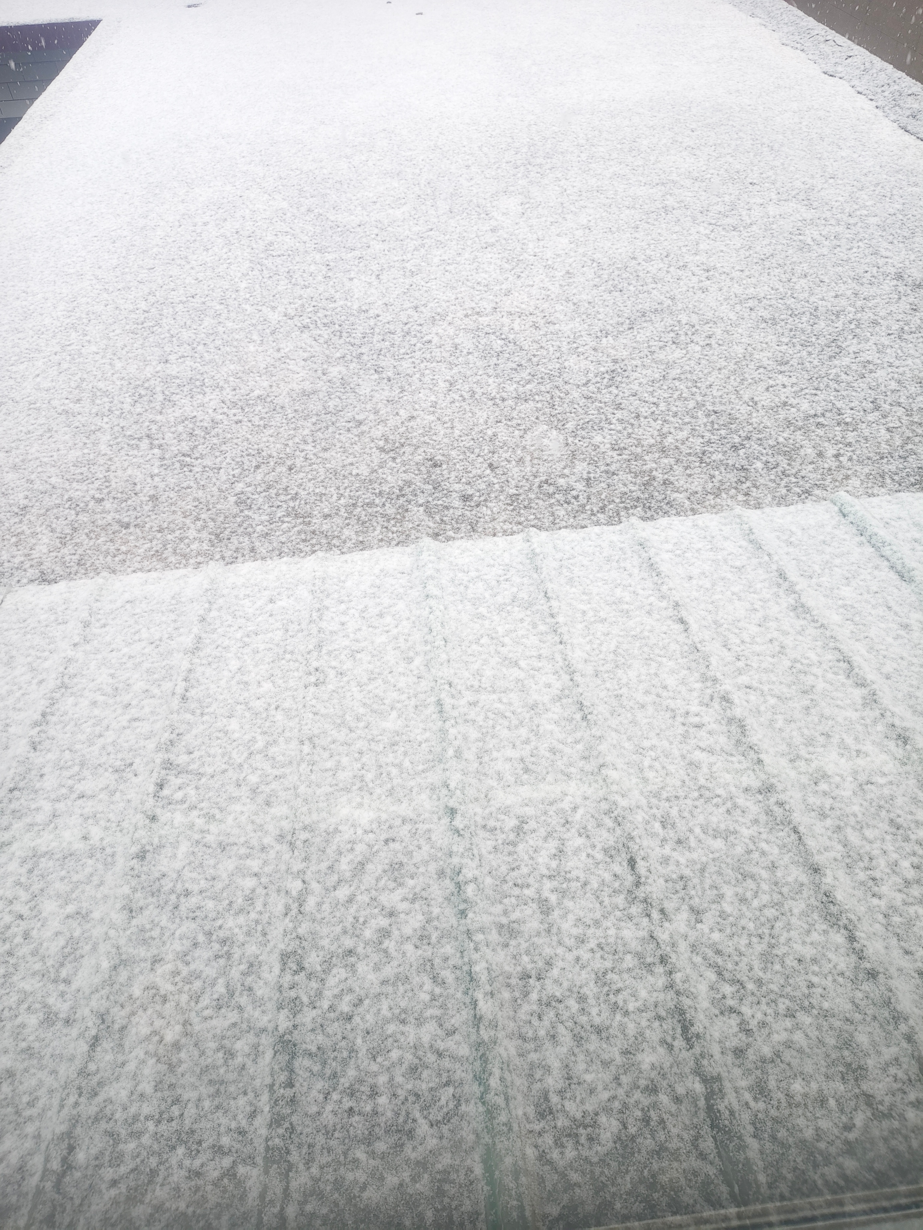 下雪啦 越下越大了   北京应该也是吧