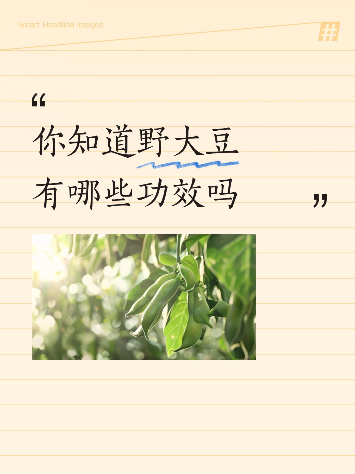 你知道野大豆有哪些功效吗